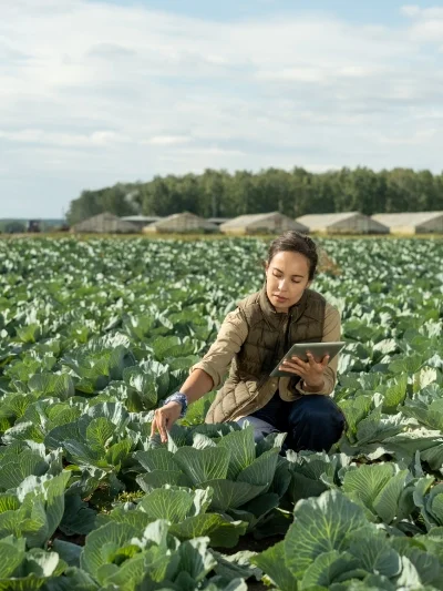 Smart Farming with IoT